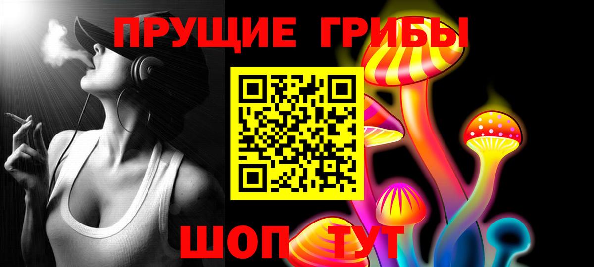 Галлюциногенные грибы прущие грибы  Вход с VPN  Осинники 
